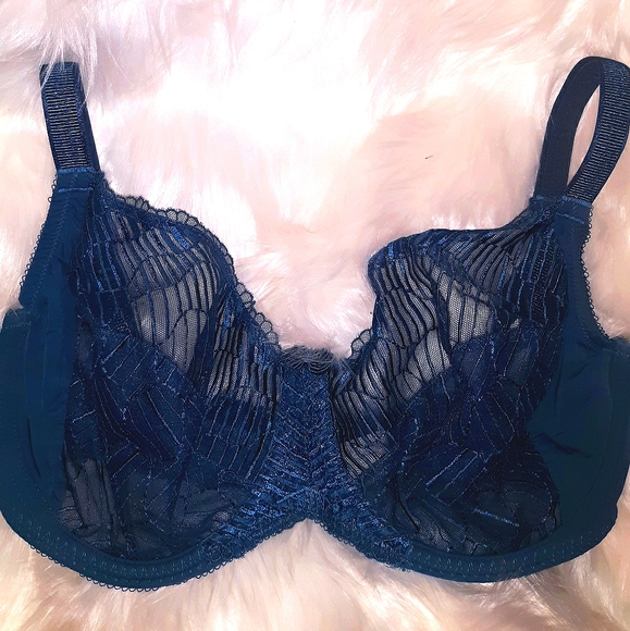 Plus Size 38DDD lace Push-up Bra-BodyCorps Blue - Picture 1 of 13